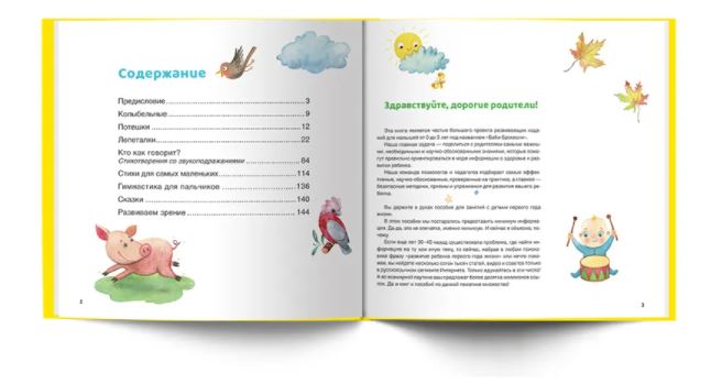Ваш малыш. Шаг за шагом. Помесячный план развития 0+, Ахмадуллин Шамиль Тагирович