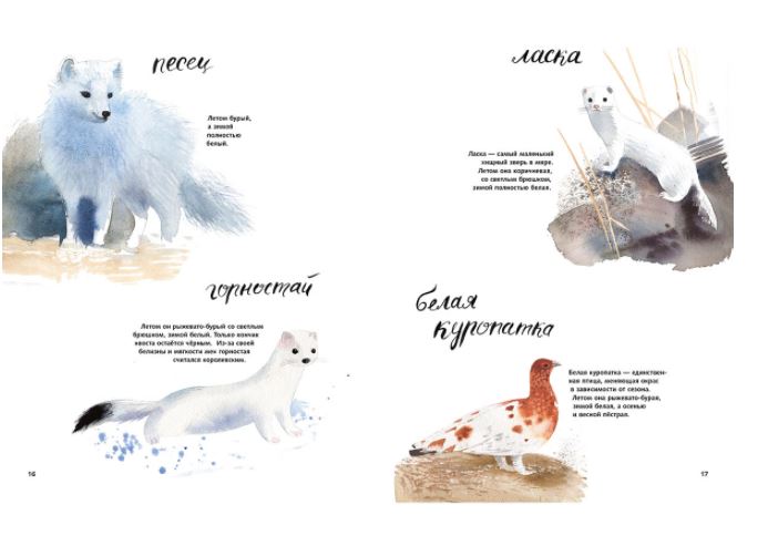 Здравствуй, зима! Фадеева Ольга