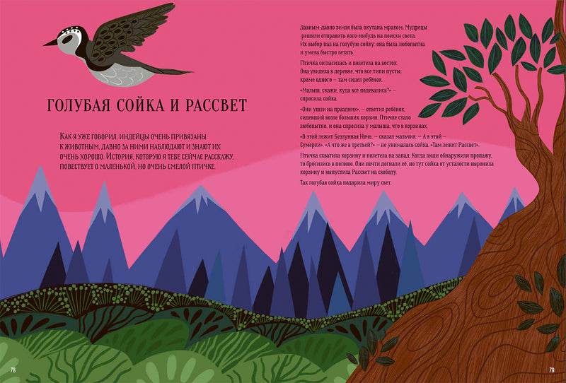 Большая книга мифов. Боги и герои со всего света. Аккатино Марция