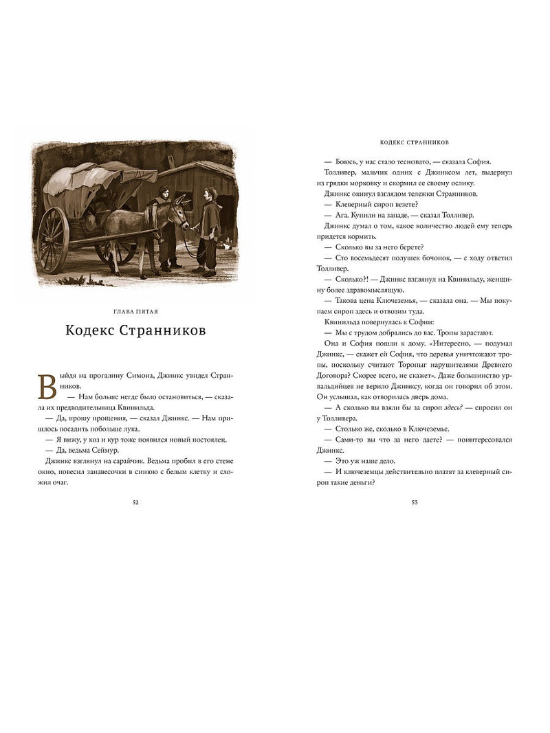 Пламя Джинкса. Книга третья. Сэйдж Блэквуд