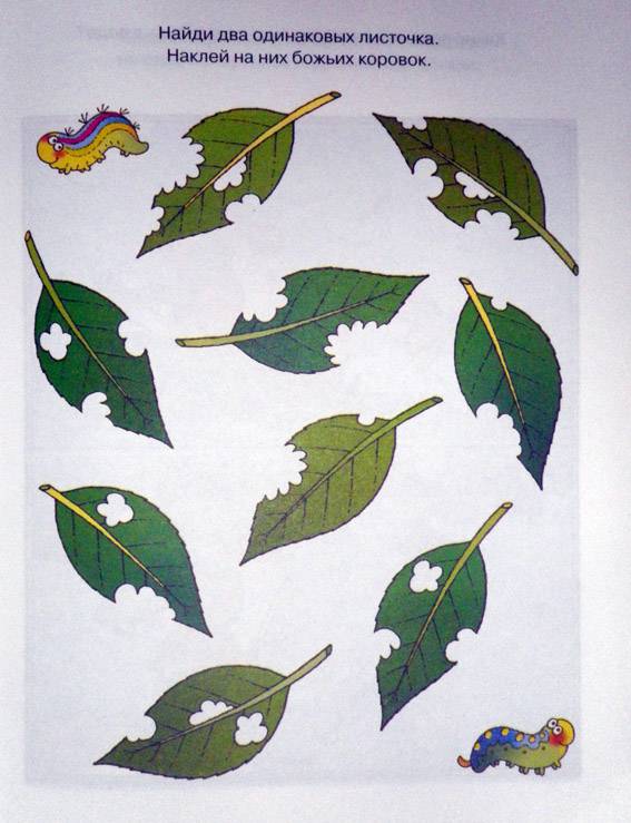 Развиваем внимание 5-6 лет. Ольга Земцова (серия Дошкольная мозаика)