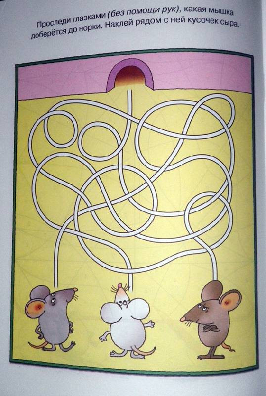 Развиваем внимание 5-6 лет. Ольга Земцова (серия Дошкольная мозаика)