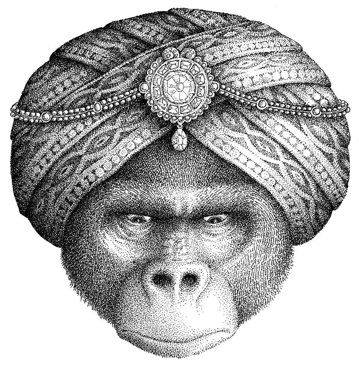 Правда о Салли Джонс. Якоб Вегелиус