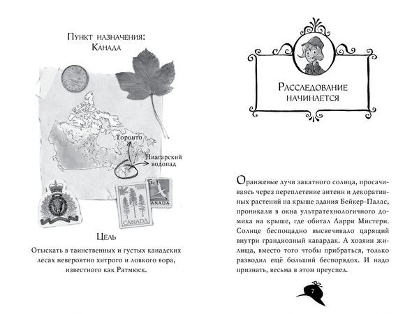 Агата Мистери. Книга 4. Кража на Ниагарском водопаде. Стивенсон Стив