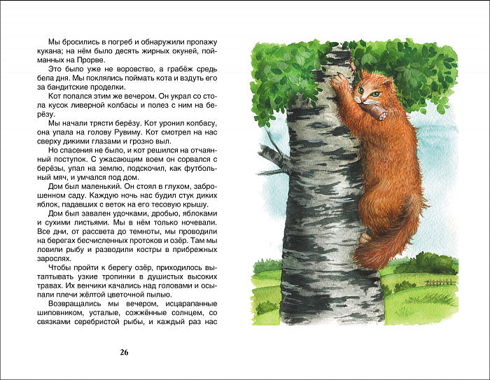 Барсучий нос. Рассказы и сказки. Паустовский К. Внеклассное чтение