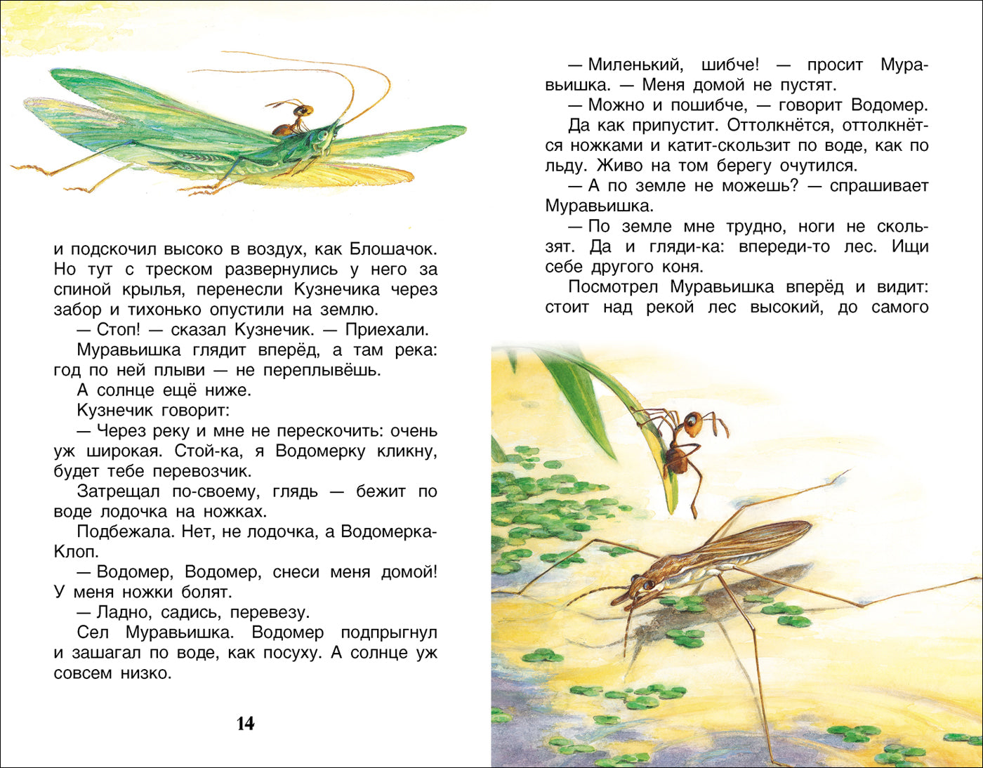 Рассказы и сказки о животных. Бианки В.В. Внеклассное чтение