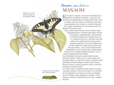 Моя книга бабочек. Стефан Каста
