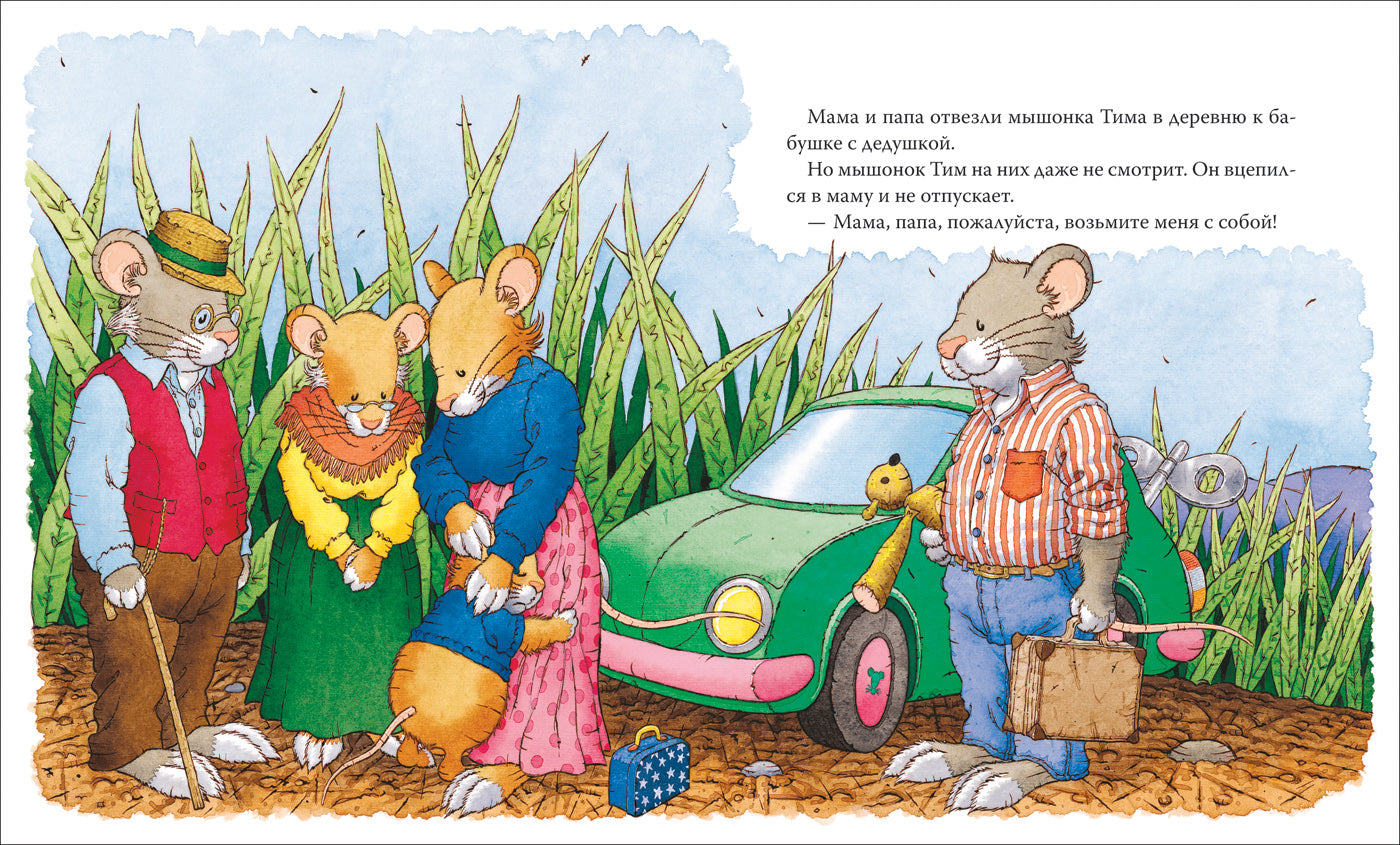 Мышонок Тим едет к бабушке. Казалис А.