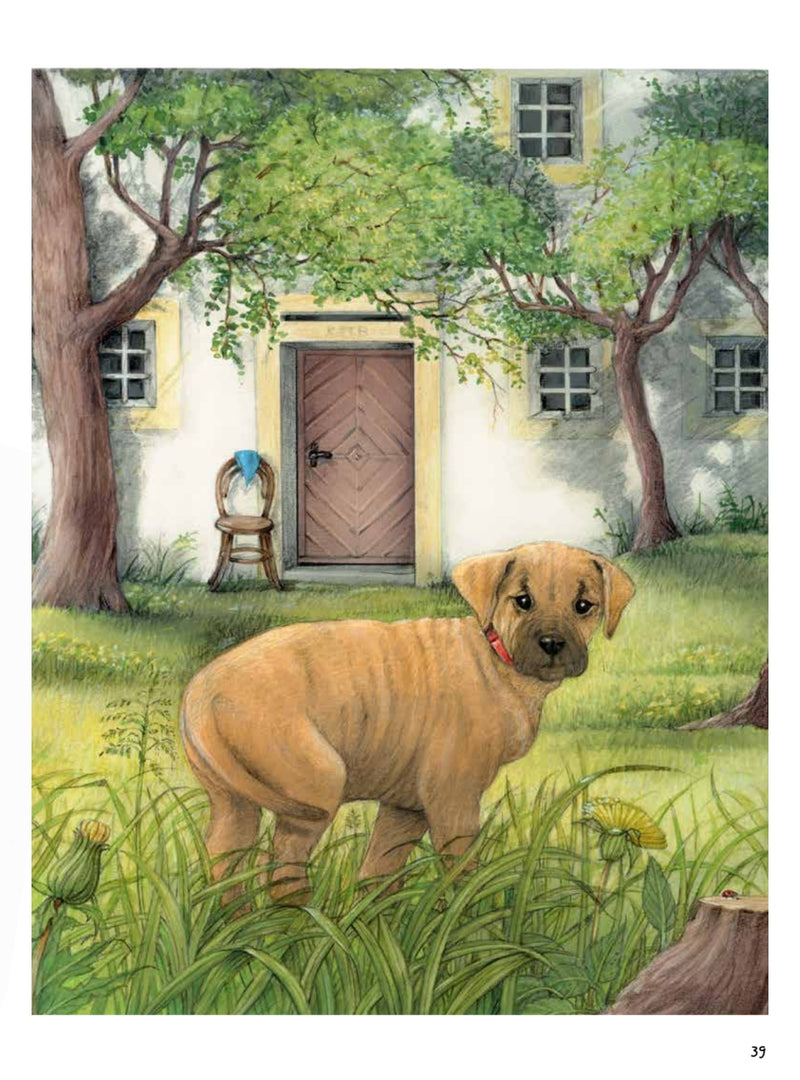 Моя самая красивая книга о кошках и собаках. Сюзанна Риха