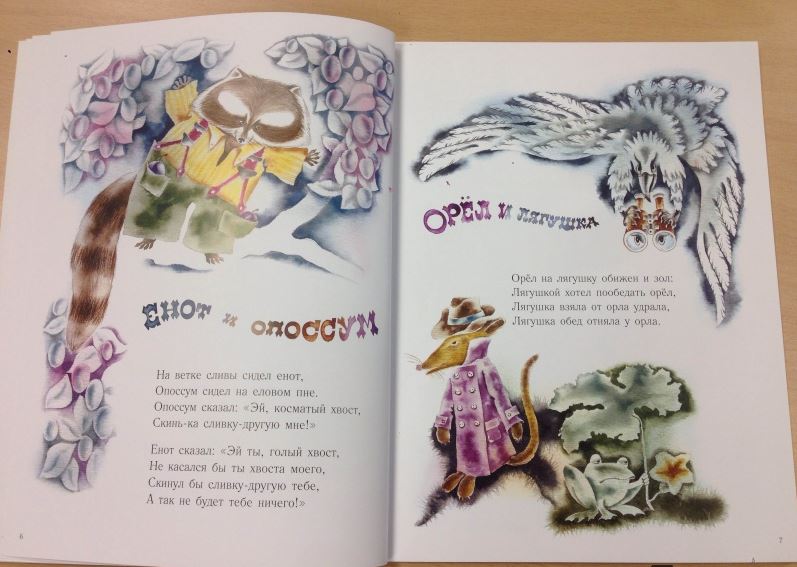 Енот и опоссум