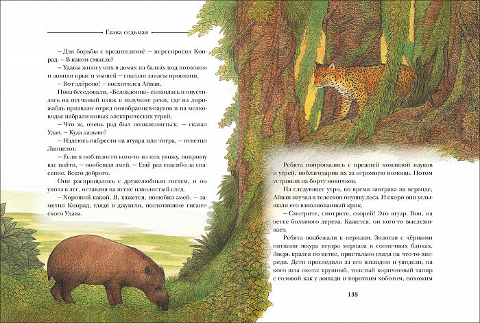 Летающий дом. Даррелл Дж.
