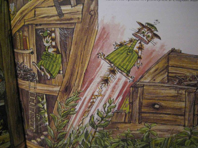 История о том, как Финдус потерялся, когда был маленький. Свен Нурдквист