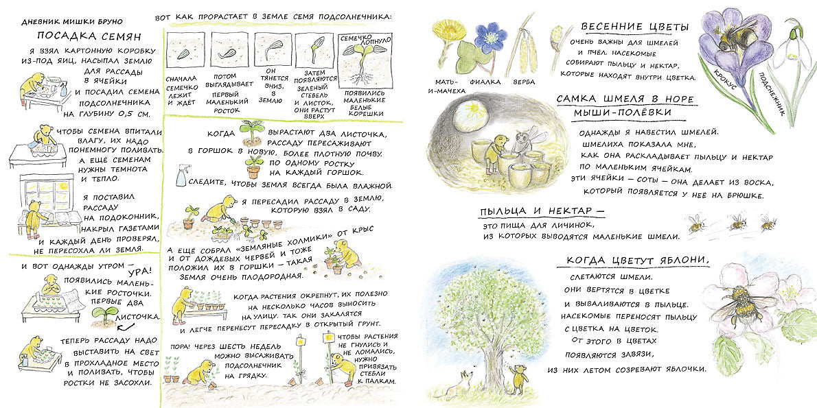 Весна мишки Бруно. Ингвес Гунилла