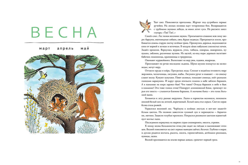 В лесу. Зима, весна, лето, осень