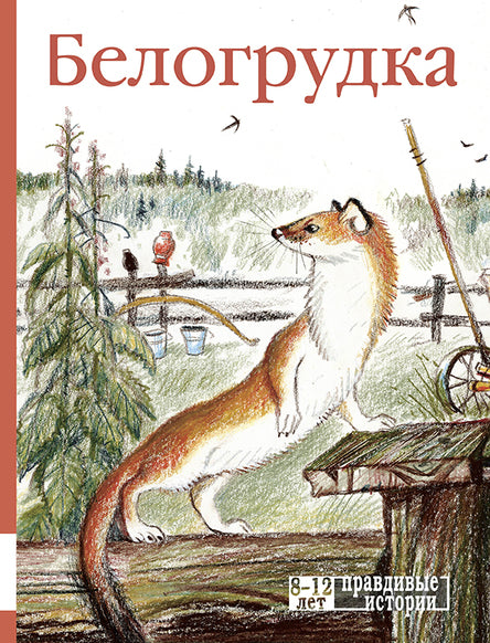 Белогрудка. Любаев Петр