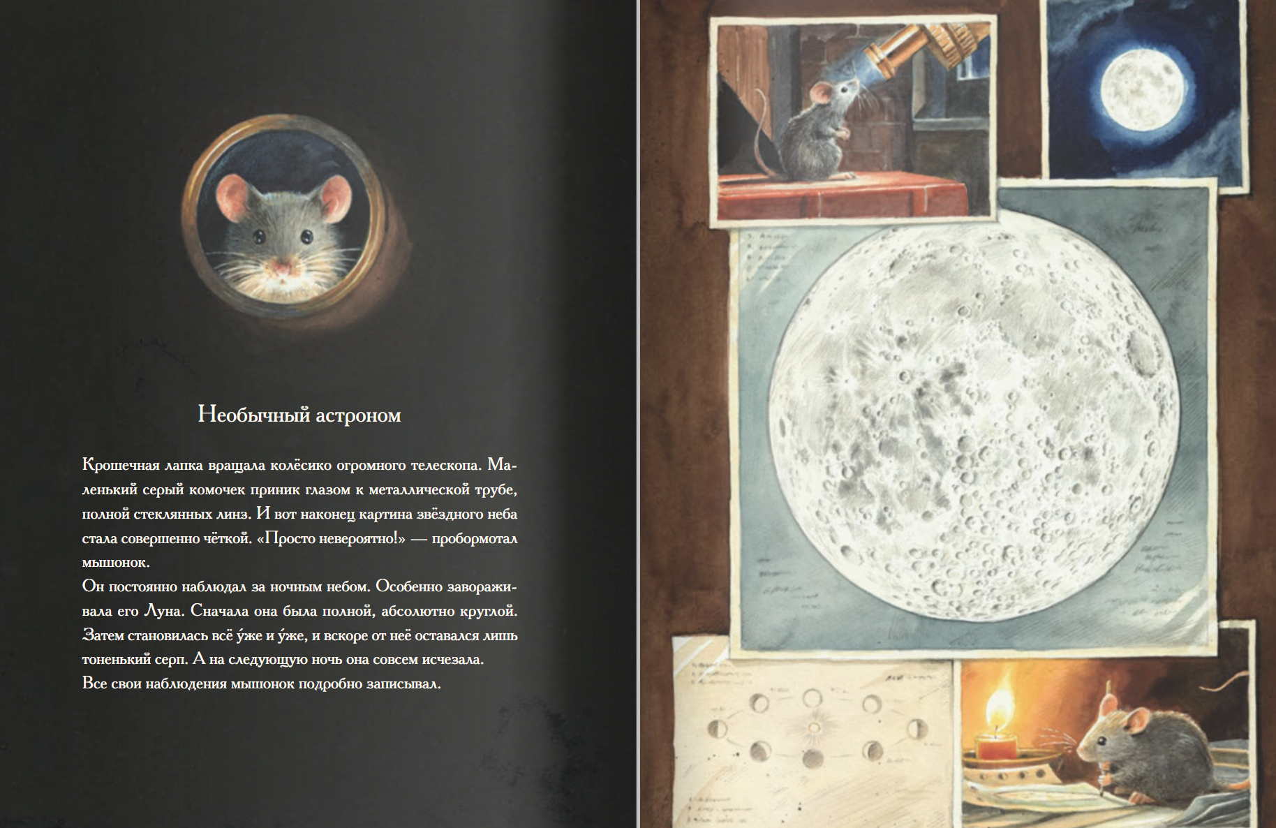 Армстронг. Невероятное путешествие мышонка на Луну. Кульманн Торбен