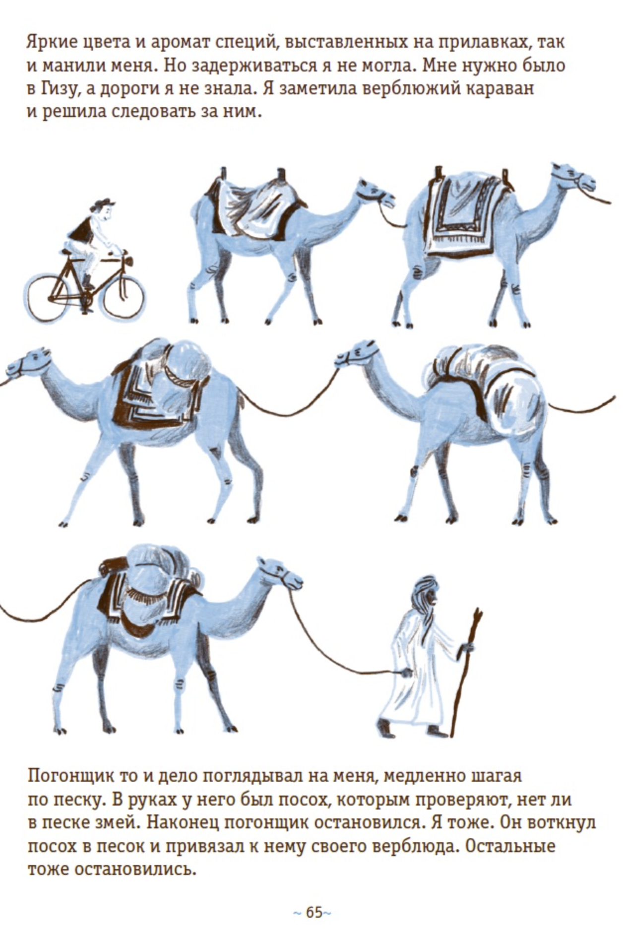 Энни. Вокруг света на велосипеде. Роберта Балеструччи Фанчеллу