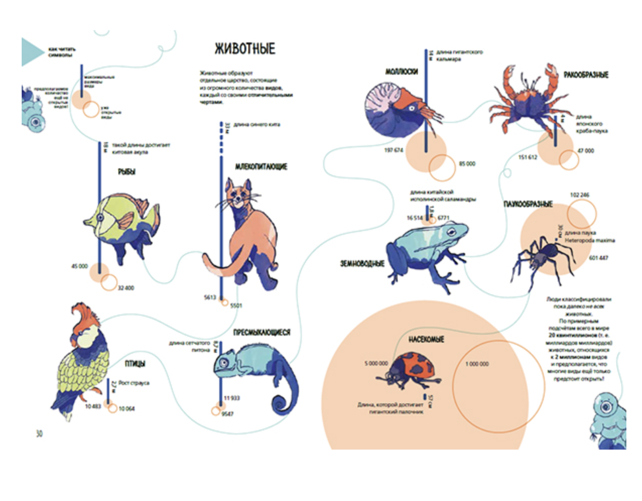 Планета Земля. Мир вокруг нас в инфографике. Кьяра Пиродди