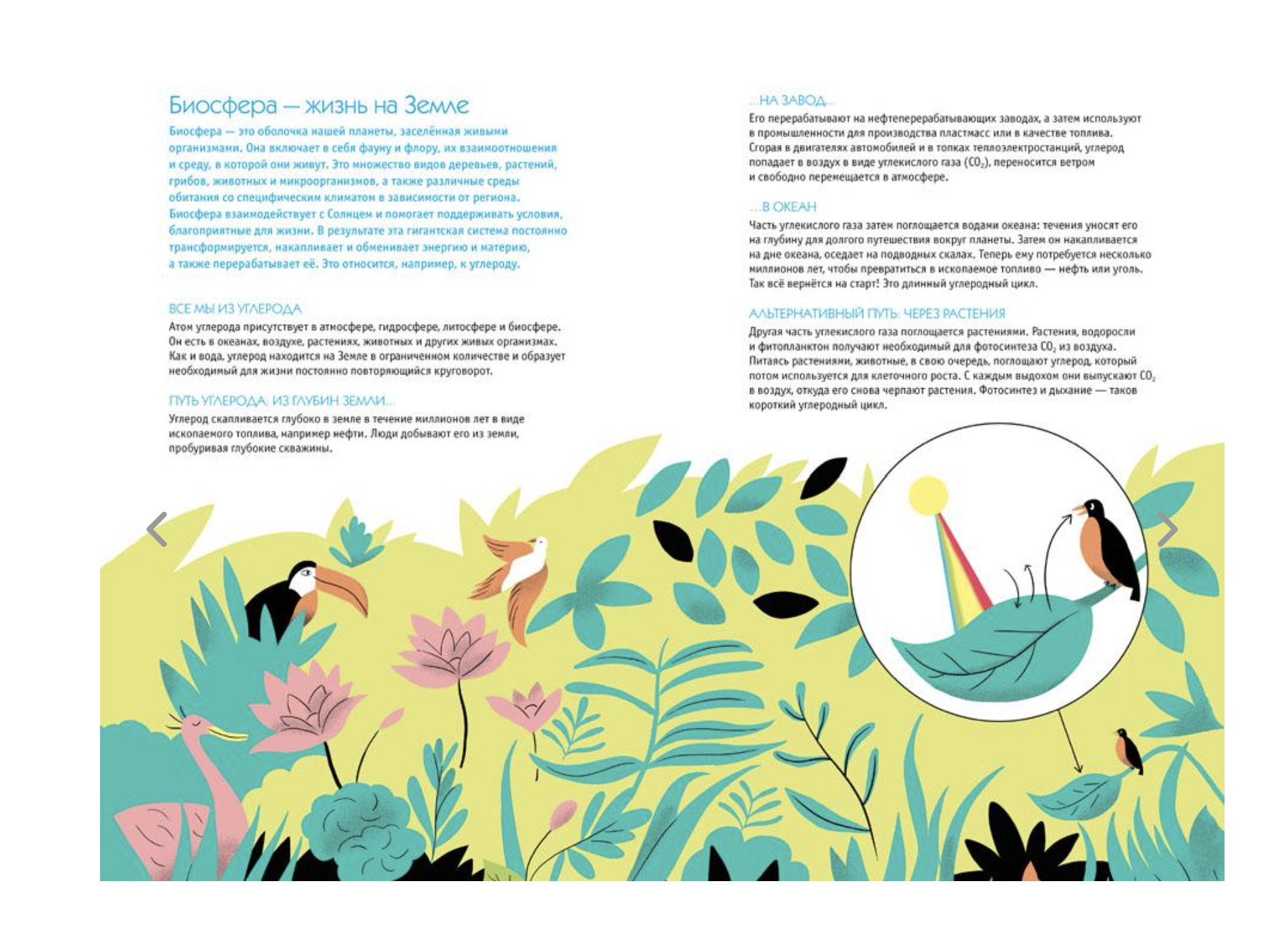 Климат. Как всё работает. Сесиль Гибер Брюссель