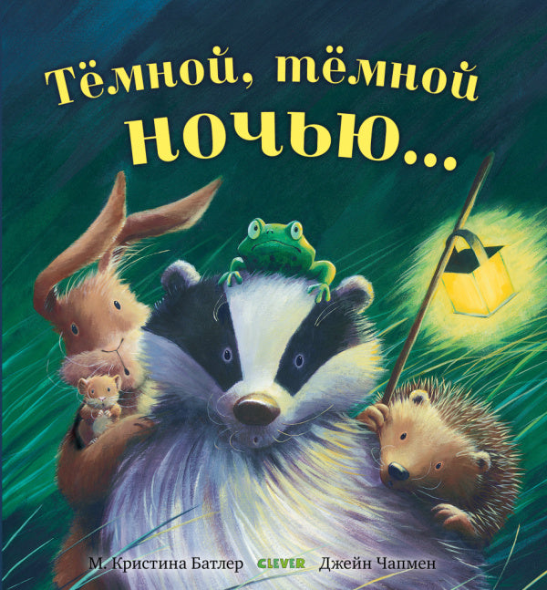 Тёмной, тёмной ночью (мягкая обложка). Батлер М. Кристина