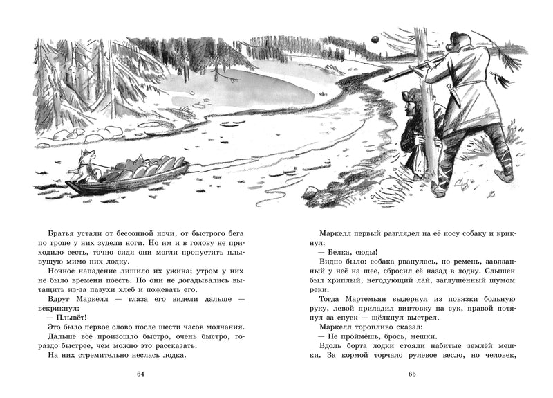 Белогрудка. Любаев Петр