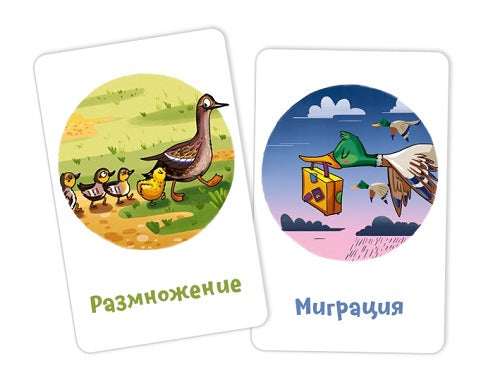 Кругозорник Биология. Настольная игра. Банда умников