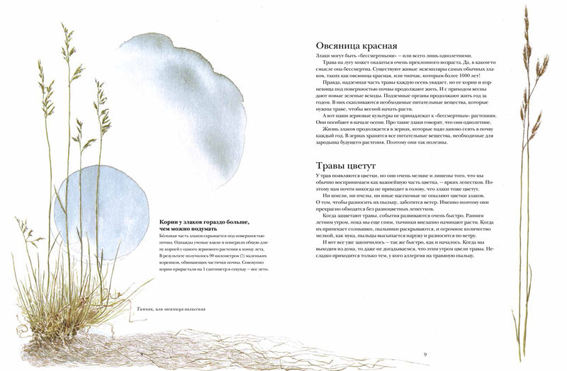 Книга злаков и трав. Стефан Каста, Май Фагерберг