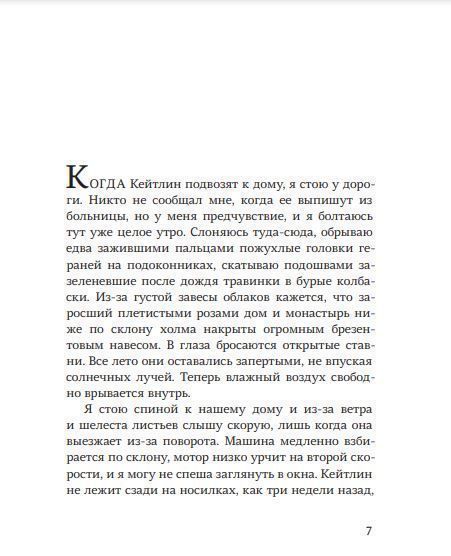 Падение. Провост Анне