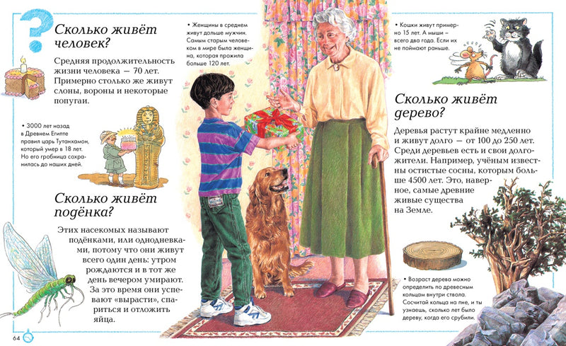 Отчего и почему? Анита Ганери, Бренда Уолпол, Филип Стил