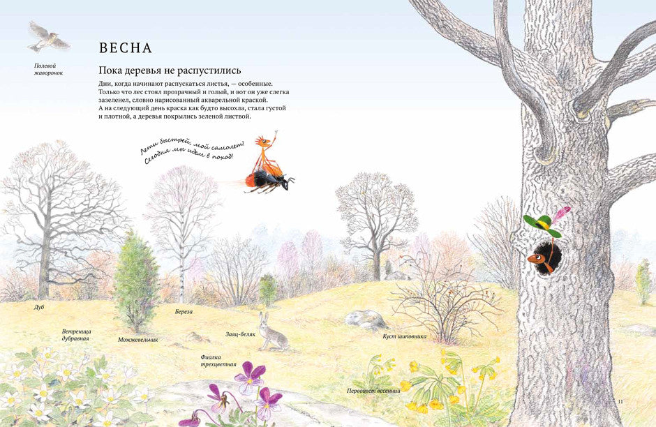 Экспедиция Софи. Стефан Каста, Бу Мосберг