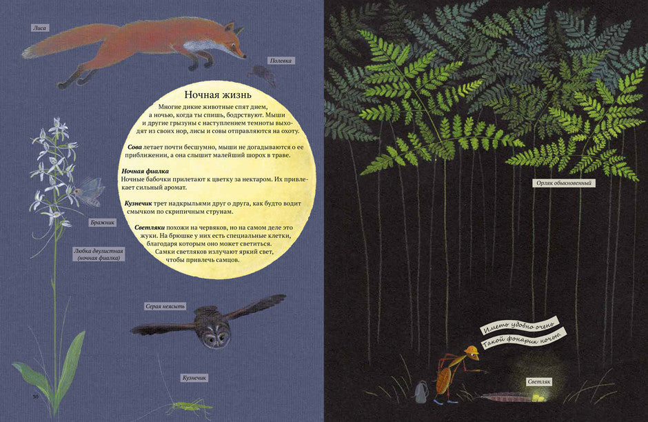 Экспедиция Софи. Стефан Каста, Бу Мосберг