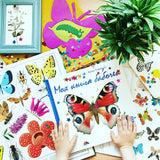 Моя книга бабочек. Стефан Каста