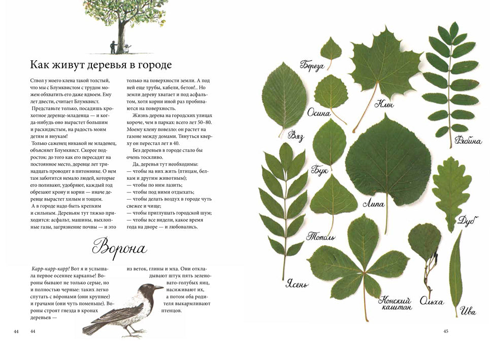 Календарь Линнеи. Кристина Бьорк, Лена Андерсон
