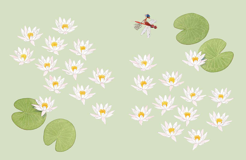 Софи в мире цветов. Стефан Каста, Бу Мосберг