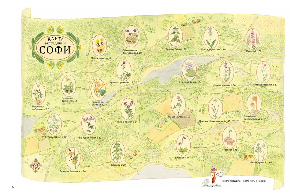 Софи в мире цветов. Стефан Каста, Бу Мосберг