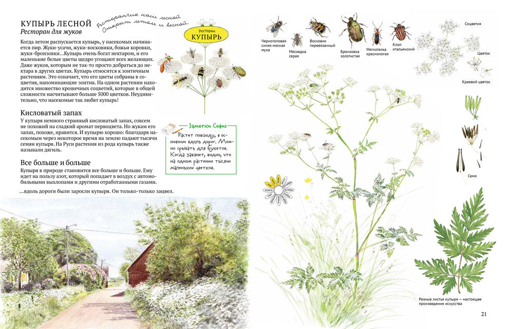 Софи в мире цветов. Стефан Каста, Бу Мосберг