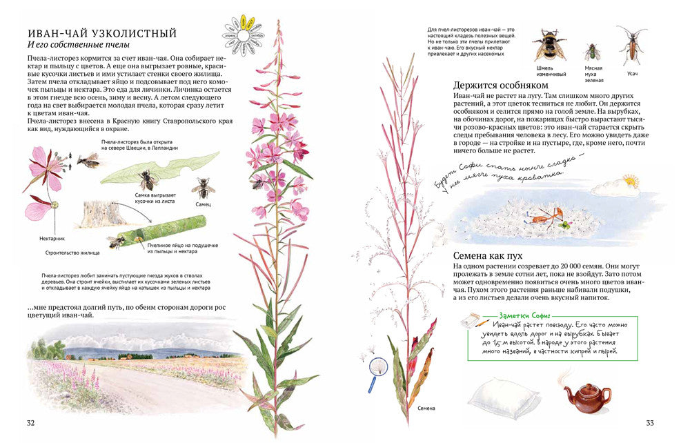 Софи в мире цветов. Стефан Каста, Бу Мосберг