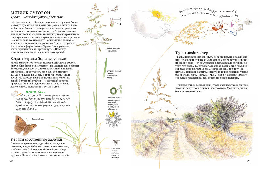Софи в мире цветов. Стефан Каста, Бу Мосберг