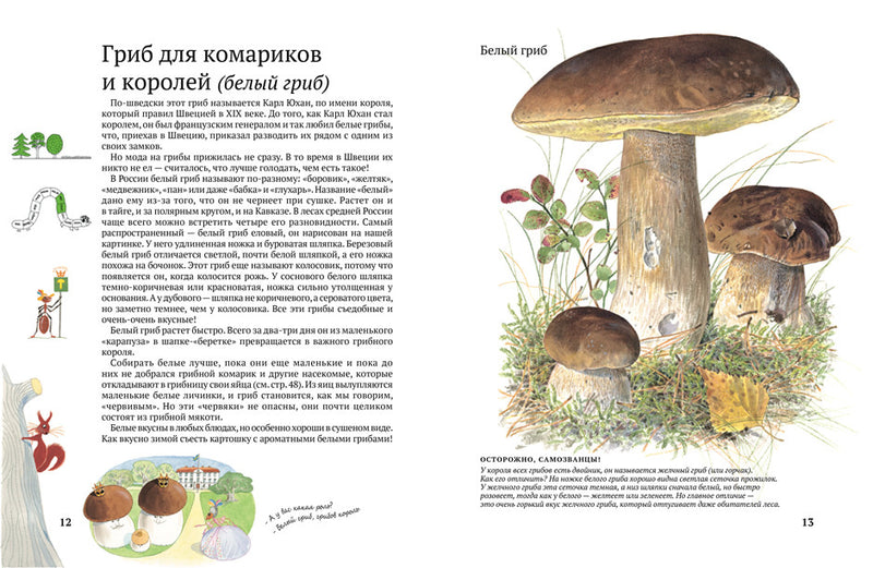 Софи в мире грибов. Стефан Каста, Бу Мосберг