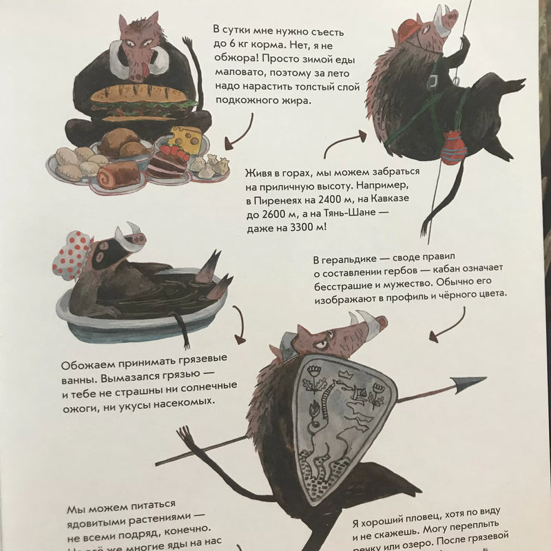 Я кабан, а вы вонючки! Димитрова Даша, Дергачёва Ольга